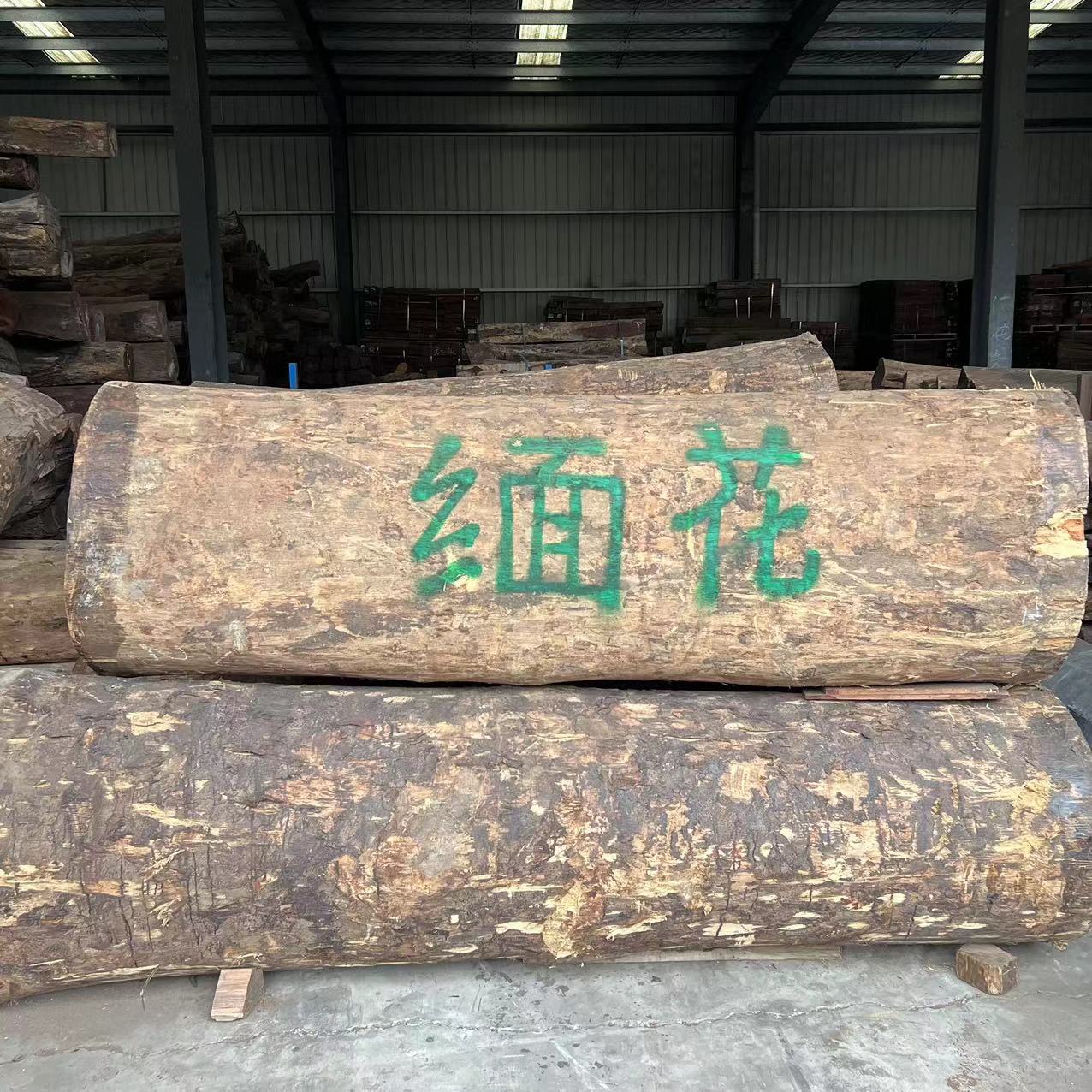 大果紫檀 缅甸花梨木 缅花 缅花木原木 缅甸板材 国标红木-阿里巴巴