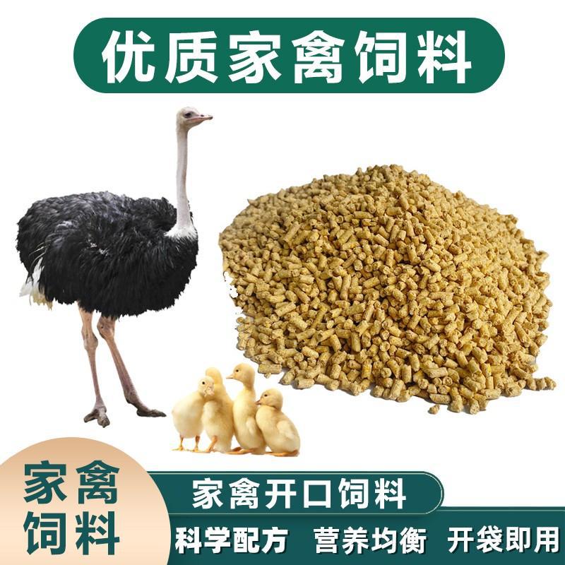 鸵鸟饲料饲养鸵鸟养殖粮食吃的东西鸡鸭鹅通用鸸鹋饲料料