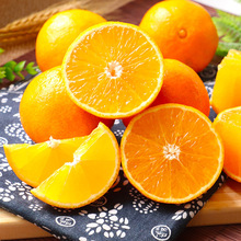正宗四川爱媛38号果冻橙子现摘新鲜橙子甜橙当季水果批发
