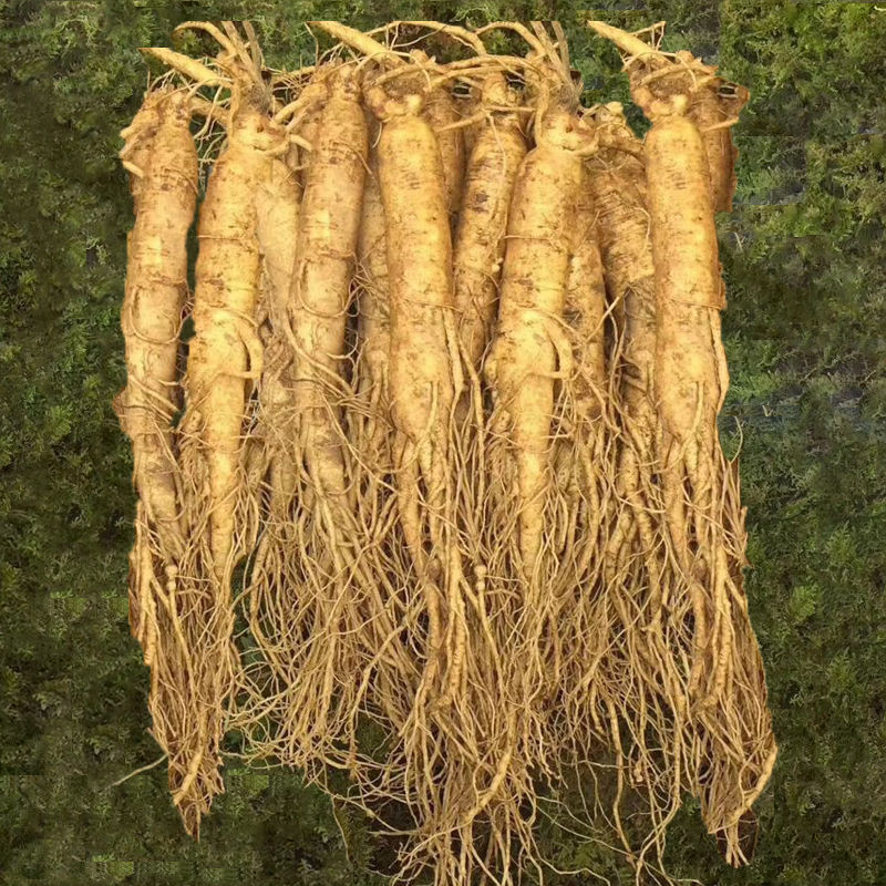 2成交0件相似侼灵人参野生切片10克-20克-50克-100克勃灵参0633.