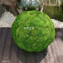 永生苔藓球真青苔球室内干景微景观造景装饰摆件落地摆设苔藓草球