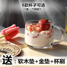 ins玻璃杯牛奶早餐杯大肚杯碗带盖勺套装耐热咖啡花茶杯子啤酒杯