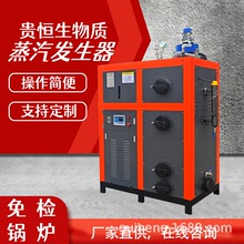 贵恒双燃料节能蒸汽设备 0.5T颗粒排污系统热能制造机蒸汽发生器