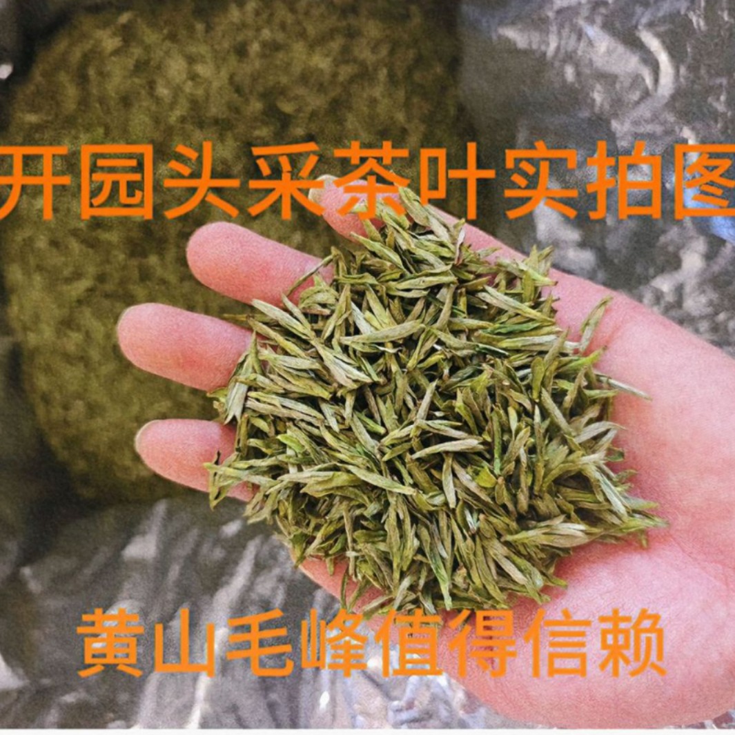 2024黄山毛峰开园头采新茶高山绿茶礼品茶农户精工细作-阿里巴巴