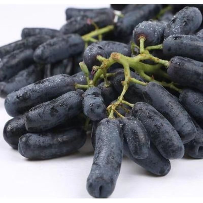 澳洲金手指黑提美人指葡萄黑手指拇指无籽提子2斤可包邮