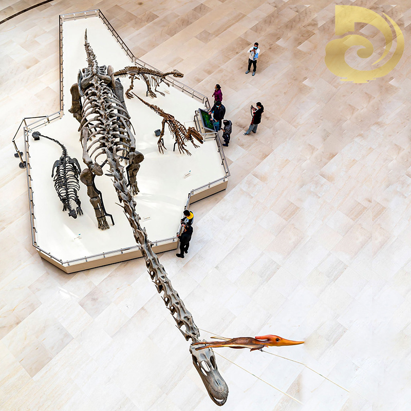 大型景区仿真腕龙马门溪梁龙骨架室内博物馆恐龙骨骼化石展览雕塑