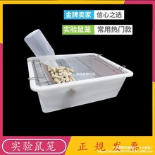 实验鼠笼 小鼠笼 大鼠笼 实验室 小白鼠大白鼠 饲养笼子 繁殖笼盒