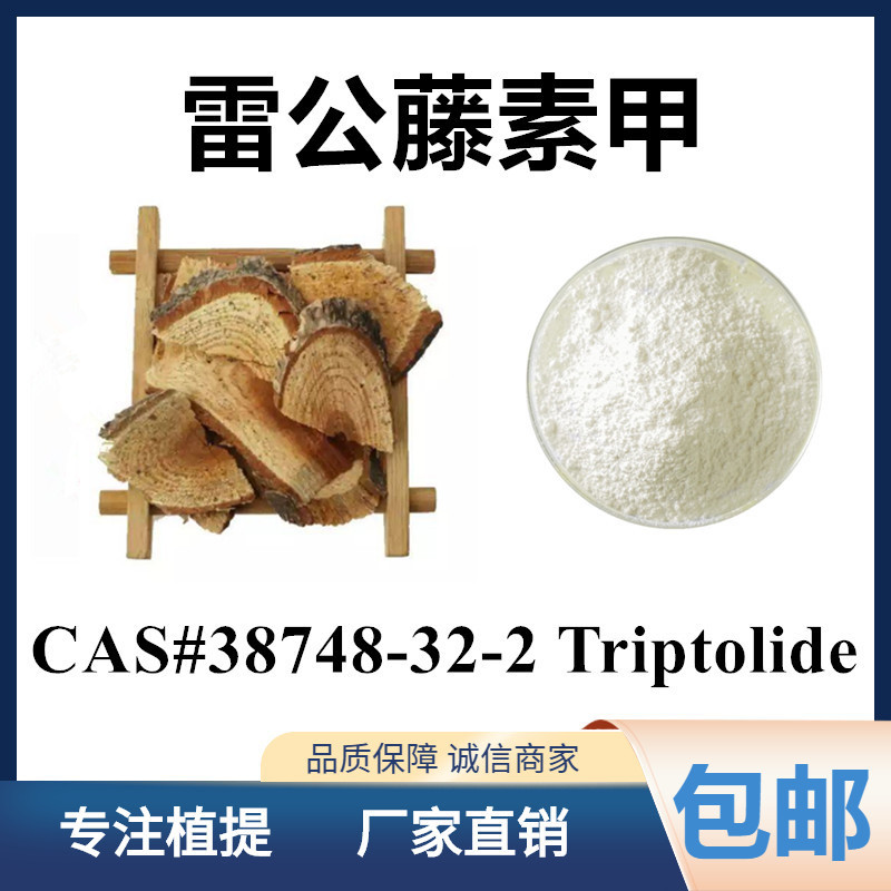 雷公藤提取物雷公藤素甲98triptolide38748322雷公藤内脂1g