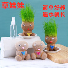 草头娃娃创意迷你小绿植室内盆栽植物幼儿园儿童小礼物长草娃娃