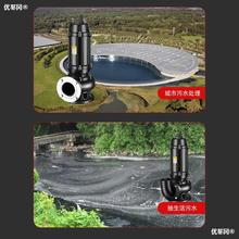 韩羽污水泵220V380V泥浆泵家用单相三相沼气池化粪池抽粪泵排污泵