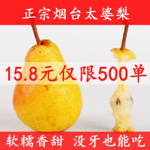 正宗现摘红啤梨新鲜10斤当季时令水果整箱应季红皮红脾啤酒软梨子