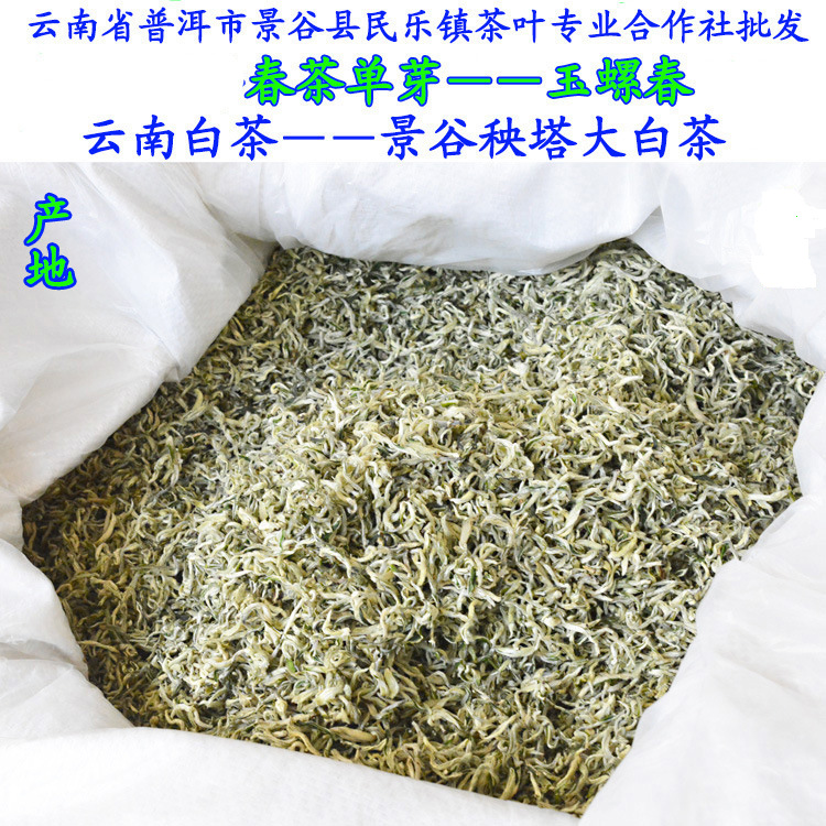 云南白茶普洱茶芽头碧螺春雪茸景谷大白毫玉螺春2024年明前头春茶