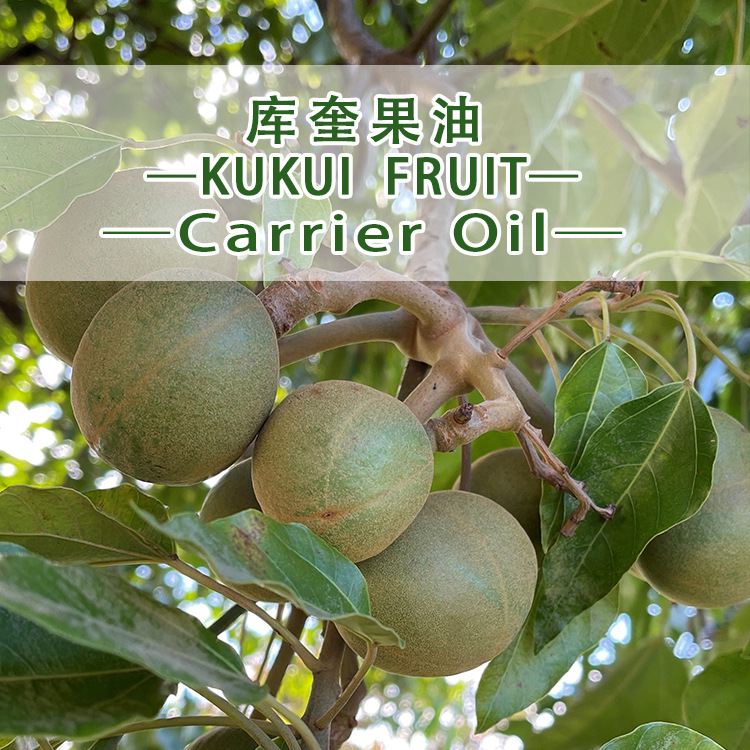 库奎果油原料批发 Kukui  Fruit Oil库奎果植物油我们提供原产地