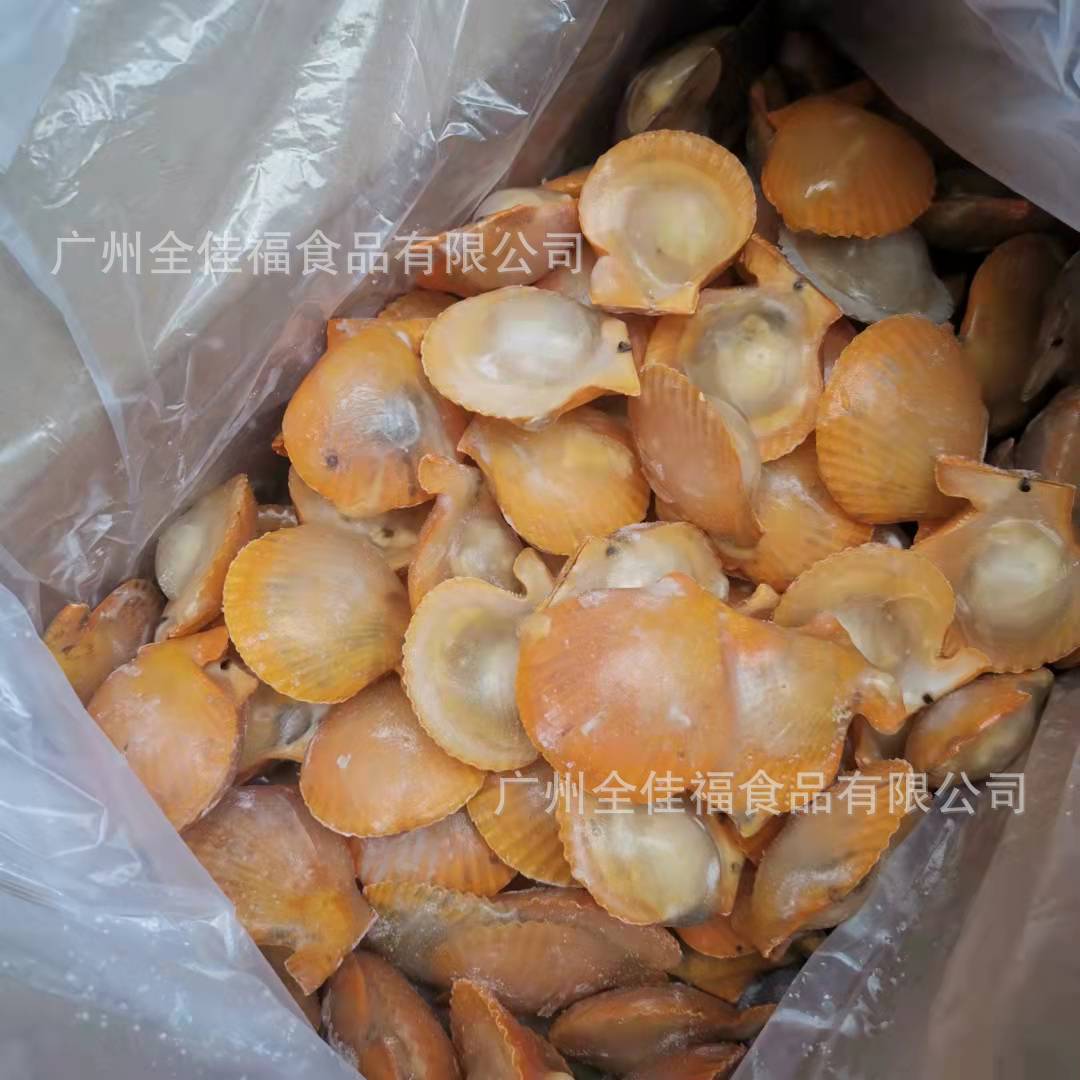 半壳海鲜黄金扇贝 鲜活速冻扇贝 小扇贝 黄金贝海鲜 8斤/箱-阿里巴巴