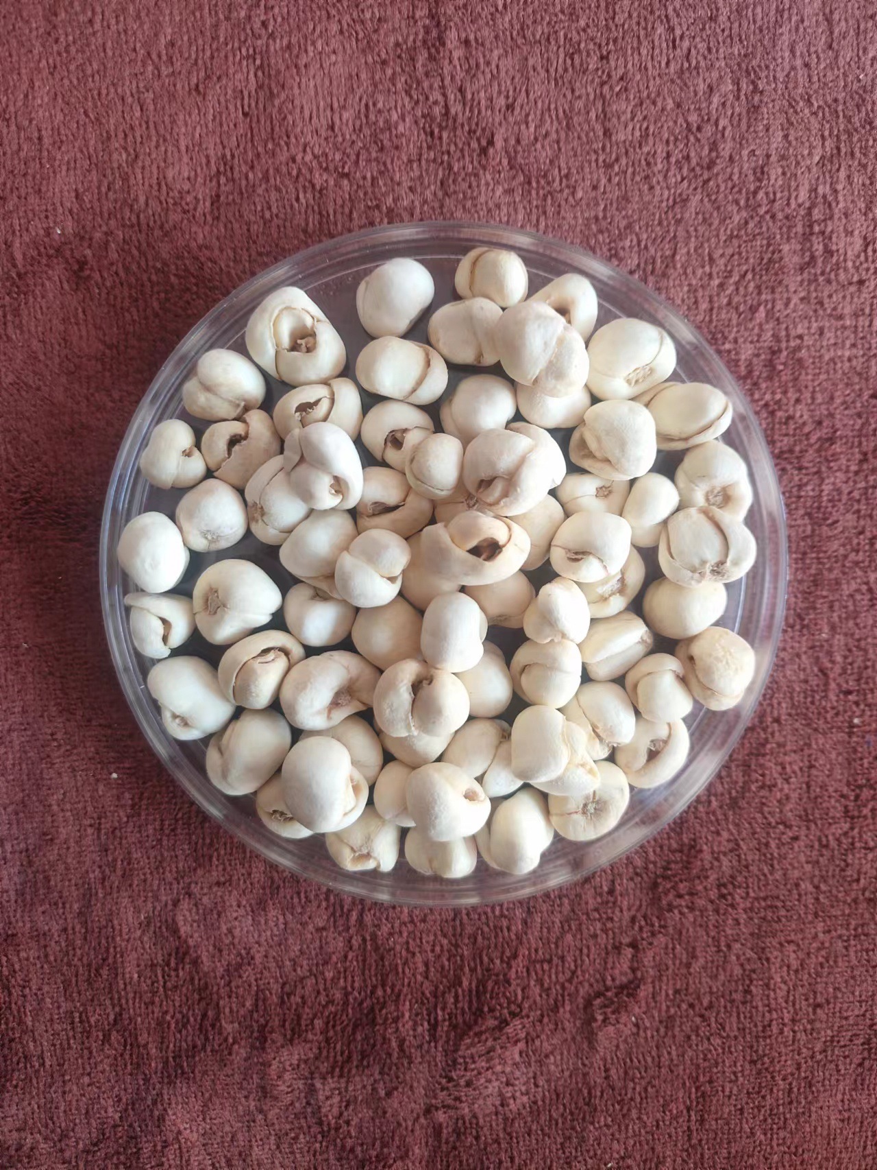 批发藏贝母 西藏贝母 贝母 各种规格质量保障中药材大货 质优