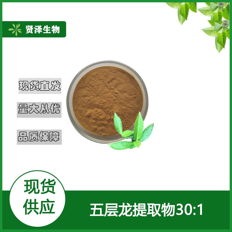 五层龙提取物 30:1 五层龙萃取 五层龙粉 贤泽生物 厂家现货
