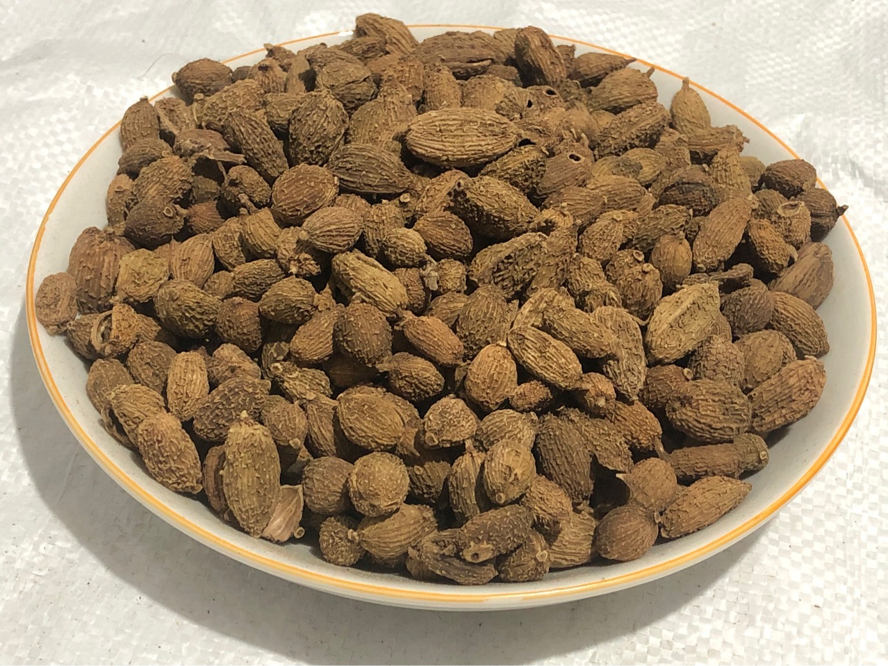 批发中药材砂仁香料砂仁 阳春砂仁 缩砂仁 缩砂蜜 缩砂蔤各种规格