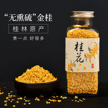 批发供应桂花茶新花广西桂林金桂天然无硫用新鲜干花茶叶泡水泡茶