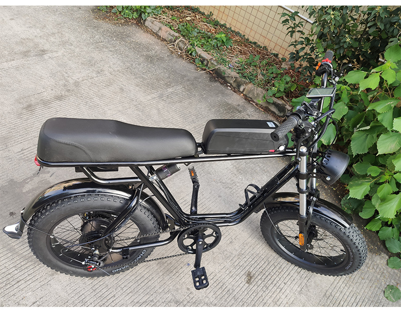 ftn锂电池越野电动自行车助力代步20寸山地车沙滩摩托车电瓶车