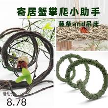 Hermit crab climbing cane hammock simulation multi-size跨境