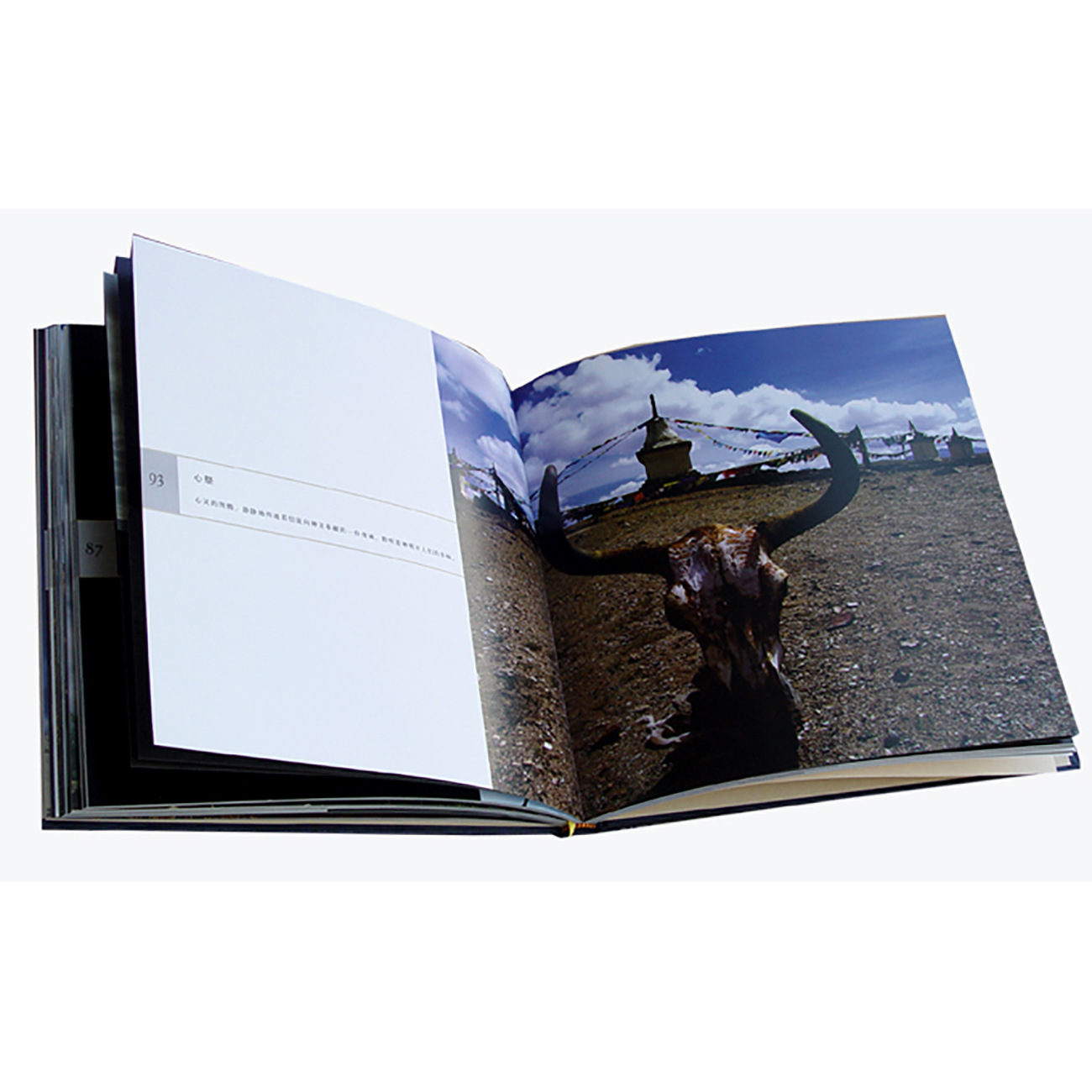 摄影画册,摄影作品集,摄影大赛作品选集,摄影协会摄影家作品集