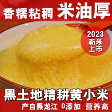 东北黑龙江新黄小米5斤农家食用养胃月子粗杂粮粥2.5kg糯粘