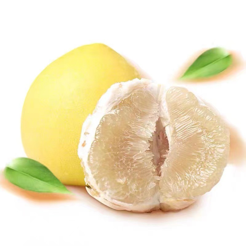 白心柚产地直发柚子鸳鸯柚红柚+白柚包邮新鲜白心蜜柚一件代