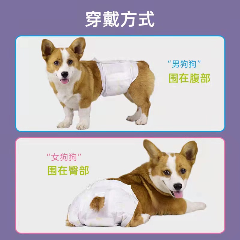 狗狗纸尿裤宠物尿不湿泰迪尿片宠物小狗月经裤母狗生理裤狗狗用品