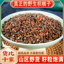 拐枣中药材茶万寿果新鲜泡酒的功效干金钩子枳椇子野生云南鸡爪梨