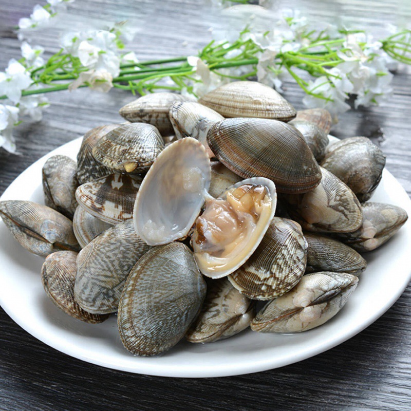 花甲当天捕捞海鲜鲜活大花甲鲜活花蛤生鲜贝类无沙海鲜一件代发
