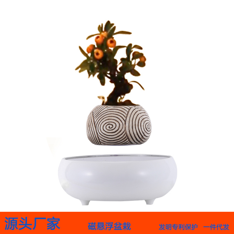 maglev pot plant greenery bonsai creative aerial flowerpot decoration magnetic suspension self-rotating potted plant flower ornaments