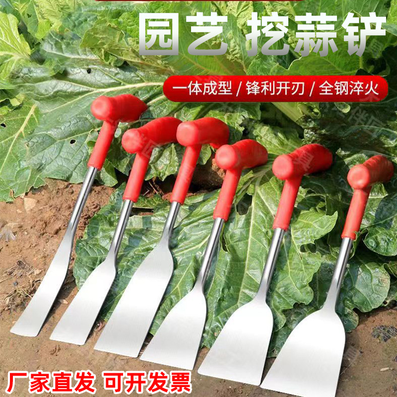 shovel gardening flower planting small shovel tool household vegetable planting， weeding， soil digging， outdoor vegetable digging， garlic shovel