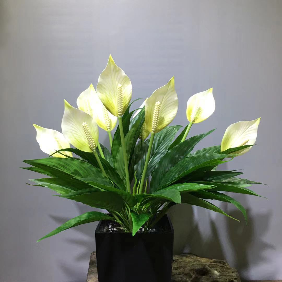 仿真白掌一帆风顺白鹤芋三头红掌和平芋会议室酒店摆放亚马逊跨境