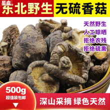 天然东北野生香菇500g特新货级冬菇珍珠菇长白山散装花菇干蘑菇