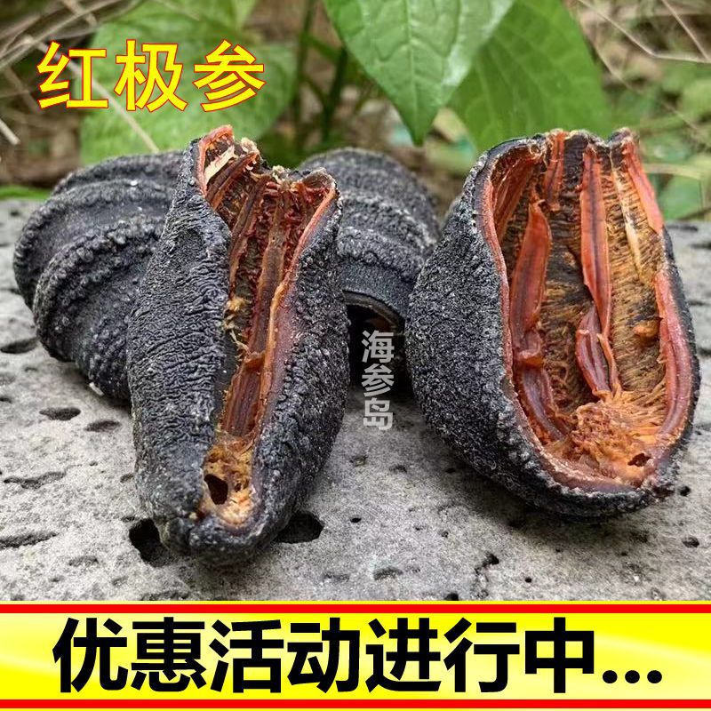 红极参加拿大进口野生北极干货冰岛淡干圆筒海参非螺纹即食辽代发