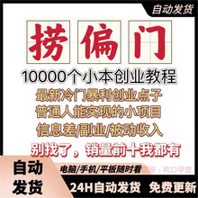 网络玩法各种视频信息热门赚钱全新副业项目课程操作差教程创业