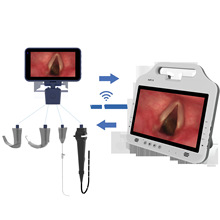 可视软性喉镜支气管内窥镜可通器械可拍照录像 宠物医院 用多动能
