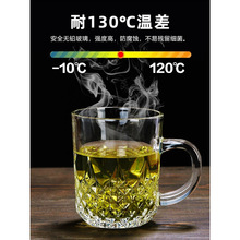 茶杯玻璃杯家用套装水杯耐热啤酒杯带把泡茶喝水杯子客厅6只装