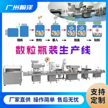 广州翰洋  压片糖果数粒装瓶生产线 凝胶糖果数粒装瓶机 工厂直供