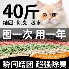 猫砂豆腐砂除臭无尘40斤去味结团20公斤包邮大袋装猫舍猫咪用品茄