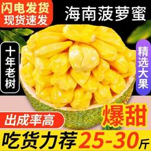 现摘海三亚菠萝蜜一整个新鲜批发菠萝蜜肉2-40斤假榴莲代发亚马逊