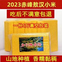 新米黄小米2023内蒙古赤峰敖汉产吃的小黄米农家自种粗粮小米粥