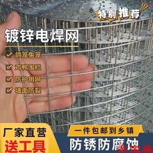 热镀锌钢丝网铁丝网围栏网防鼠蛇养殖鸡鸭圈山圈地水泥防裂玉米网