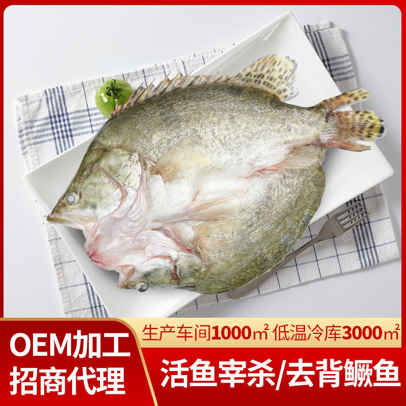 厂家鲜活条冻鳜鱼酒店食品桂花鱼开背开肚中餐食材烤鱼半成品批发