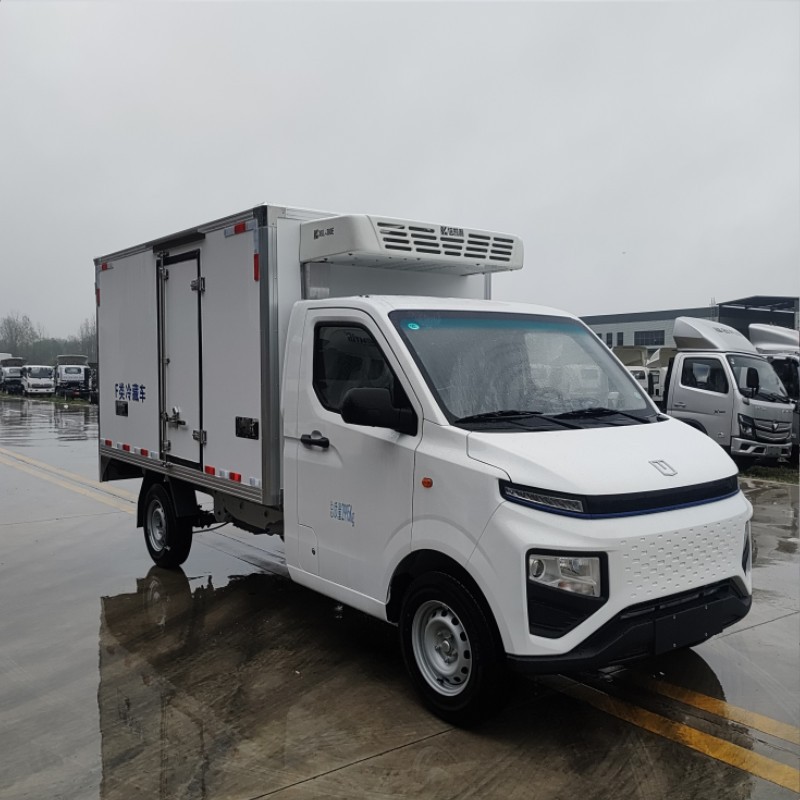 吉利新能源冷藏车货箱3米长 小型纯电动冷链车 绿牌保温车-阿里巴巴
