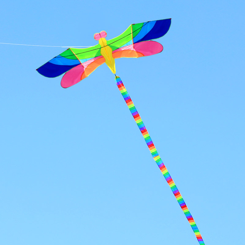 潍坊筝乐长尾七彩蜻蜓风筝儿童成人大型新款微风易飞大人专用