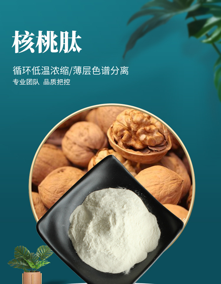 99%核桃肽 现货水溶性核桃蛋白肽核桃提取物核桃粉核桃低聚肽