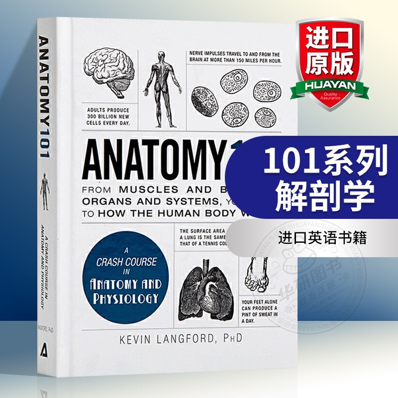 101系列 解剖学 英文原版 anatomy 101 医学 全英文版 进口英语书