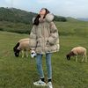 oversize Feather cotton Women's wear 2022 winter new pattern student have cash less than that is registered in the accounts cotton-padded jacket ins Hong Kong style cotton clothing tide