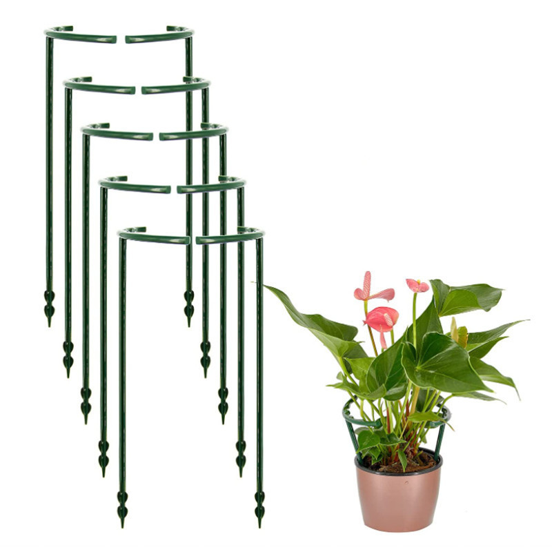 t形园艺支架盆栽护叶防倒伏支撑架蟹爪兰月季兰花爬藤植物花架长